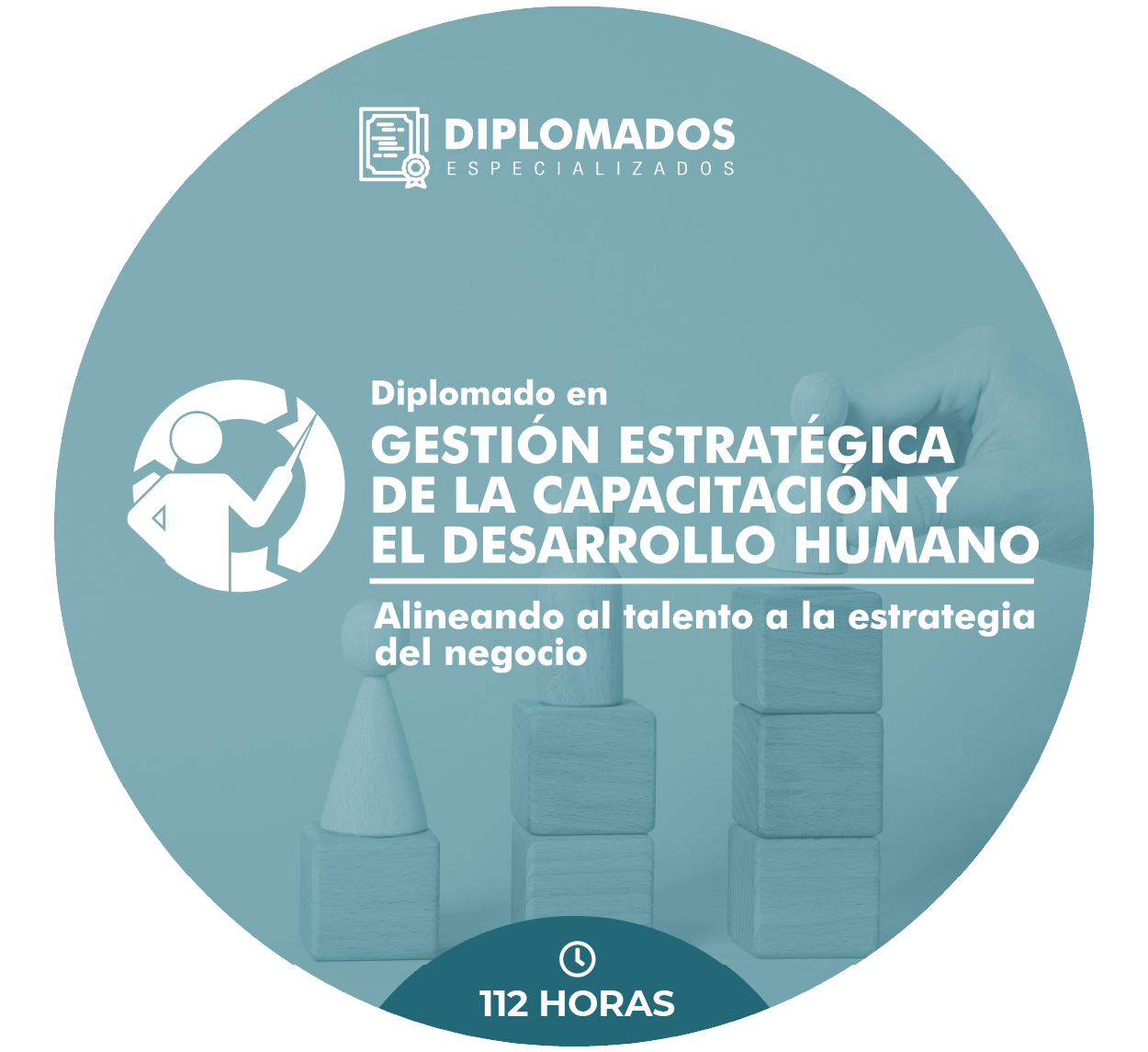 1764888716-Imagenes_Diplomado 02.png